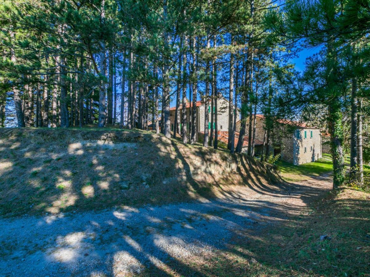 Holiday Home Al Volo Del Nibbio By Interhome Marradi Exterior photo